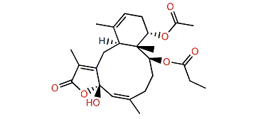 Funicolide B